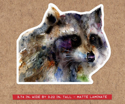 RACCOON