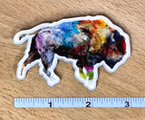 Bison