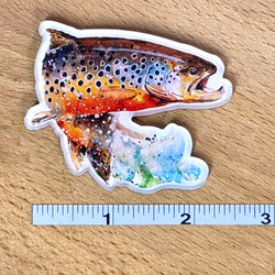 Brown Trout