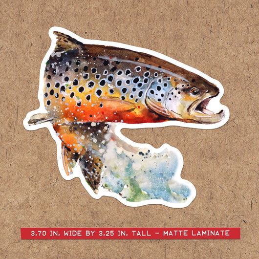 BROWN TROUT