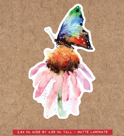 BUTTERFLY AND CONEFLOWER