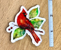 Cardinal & Foliage
