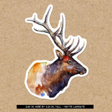 Elk