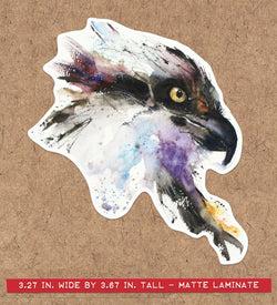 FISH HAWK