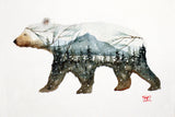 Ceramic Coaster 'Forest Bear'