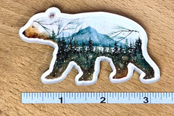 Forest Bear