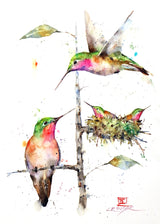 5x7" Greeting Card 'Hummingbird Family'
