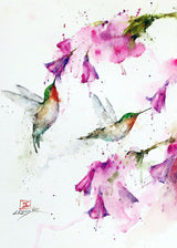 5x7" Greeting Card 'Hummingbirds & Floral'