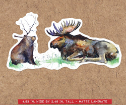 IF A BEAR HAD ANTLERS