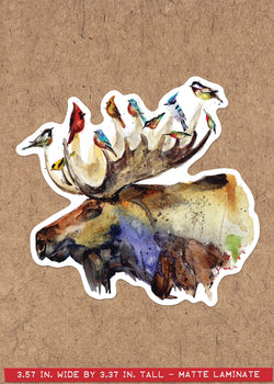 MOOSE & BIRDS