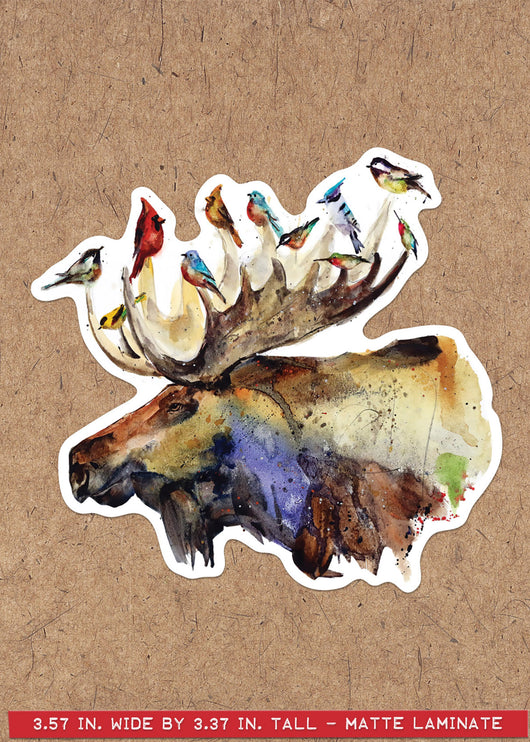 MOOSE & BIRDS