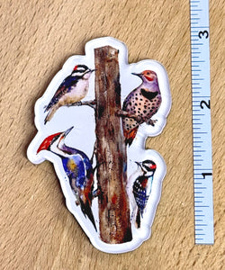 NW Woodpeckers