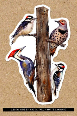 NW Woodpeckers