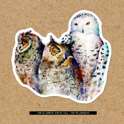 Owl Trio