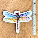 Pond Dragonfly