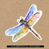 Pond Dragonfly