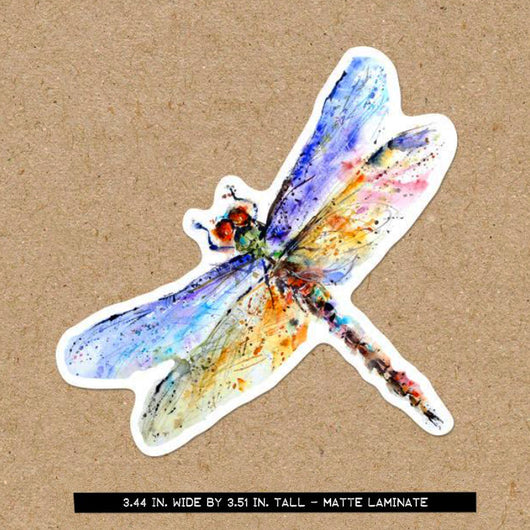 Pond Dragonfly