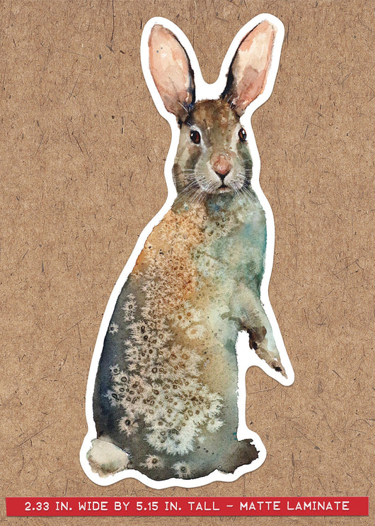 STANDING RABBIT