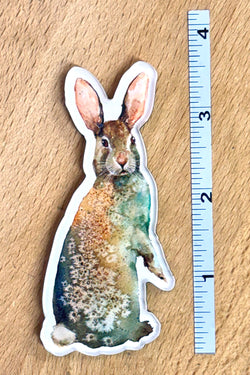 Standing Rabbit