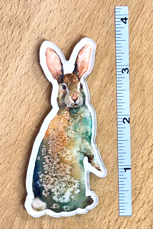 Standing Rabbit