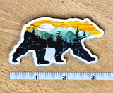 Sunset Bear