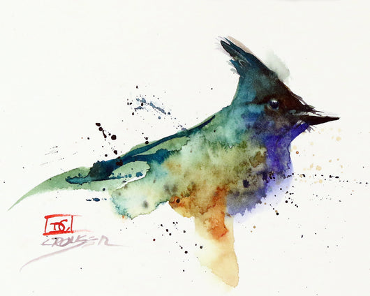 BLUE JAY SKETCH