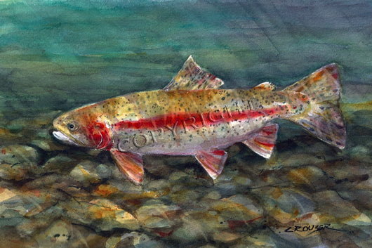 DESCHUTES RAINBOW