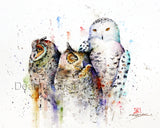 OWL TRIO