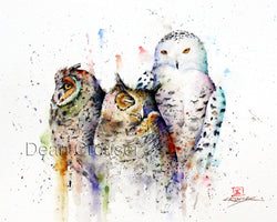 OWL TRIO