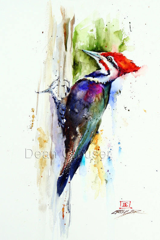 PILEATED WOODPECKER