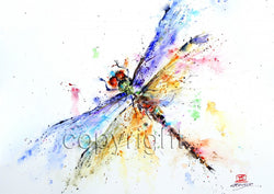 POND DRAGONFLY